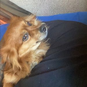 Meet your Posher, Ruben